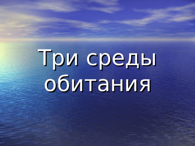 Три среды обитания 
