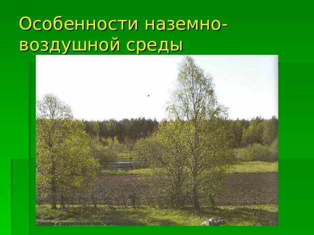 Особенности наземно-воздушной среды 