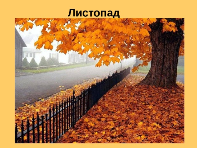 Листопад  