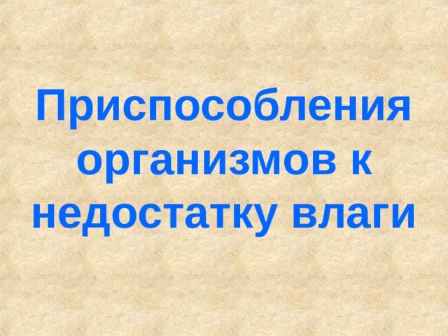 Приспособления организмов к недостатку влаги 
