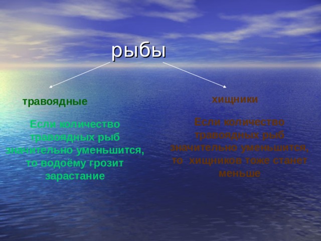 хищники травоядные Если количество травоядных рыб значительно уменьшится, то хищников тоже станет меньше Если количество травоядных рыб значительно уменьшится, то водоёму грозит зарастание 