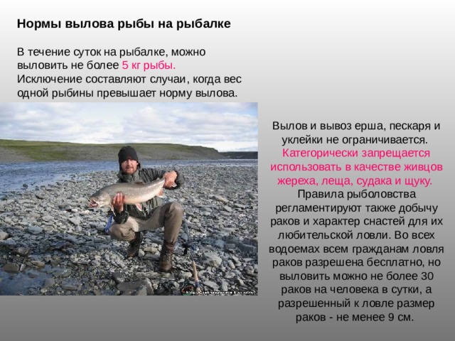 Нормы вылова рыбы на рыбалке 5 кг рыбы. Категорически запрещается использовать в качестве живцов жереха, леща, судака и щуку. 