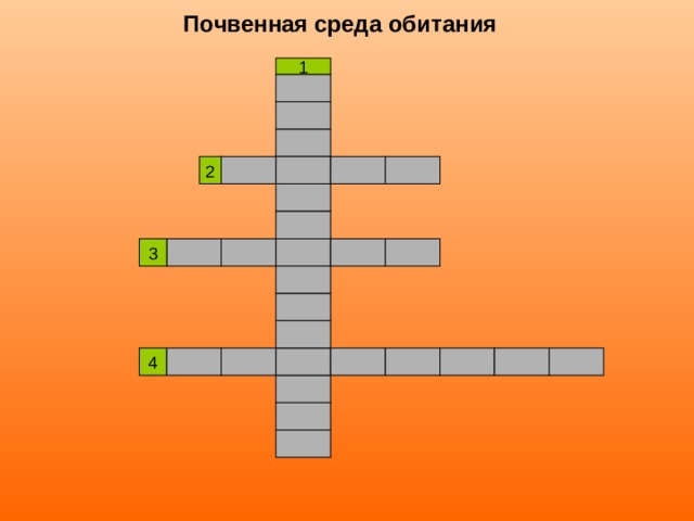Почвенная среда обитания 