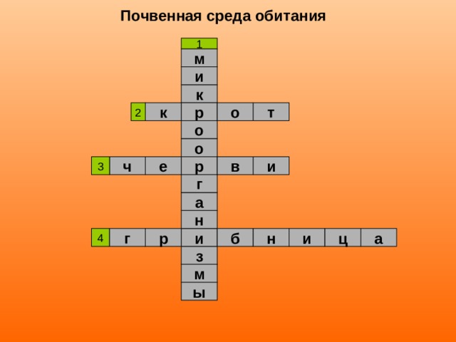 Почвенная среда обитания м и к т к о р о о и в ч е р г а н и а ц г б н р и з м ы 