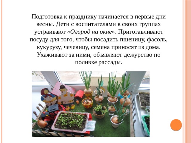 Подготовка к празднику начинается в первые дни весны. Дети с воспитателями в своих группах устраивают  «Огород на окне» . Приготавливают посуду для того, чтобы посадить пшеницу, фасоль, кукурузу, чечевицу, семена приносят из дома. Ухаживают за ними, объявляют дежурство по поливке рассады. 