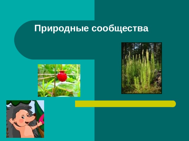 Природные сообщества