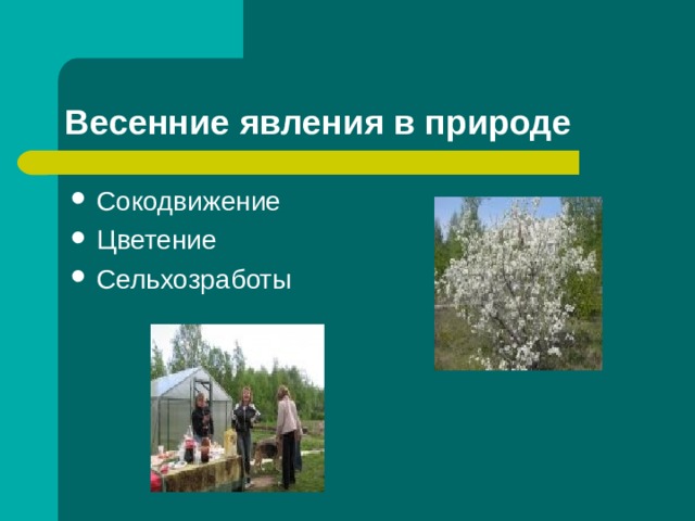 Сокодвижение Цветение Сельхозработы