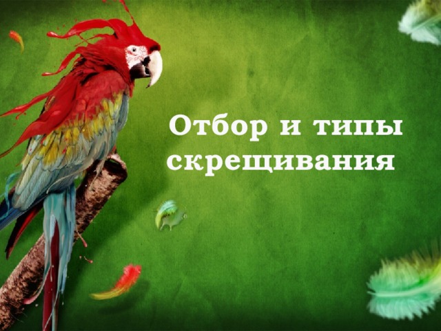 Отбор и типы скрещивания 