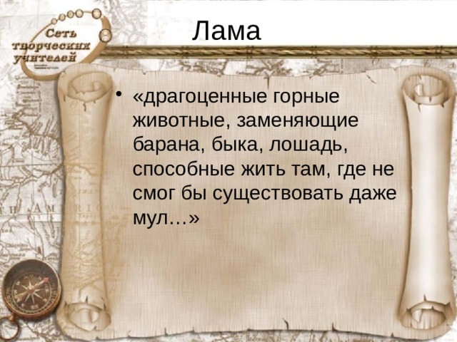 Лама