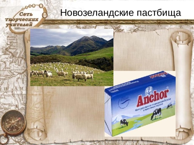 Новозеландские пастбища