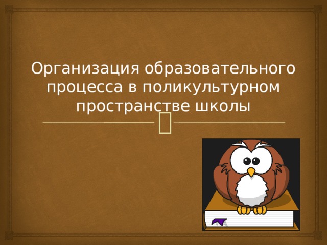 Организация образовательного процесса в поликультурном пространстве школы 