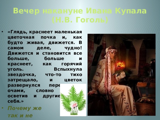 Вечер накануне Ивана Купала  (Н.В. Гоголь)  «Глядь, краснеет маленькая цветочная почка и, как будто живая, движется. В самом деле, чудно! Движется и становится все больше, больше и краснеет, как горячий уголь. Вспыхнула звездочка, что-то тихо затрещало, и цветок развернулся перед его очами, словно пламя, осветив и другие около себя.» Почему же  так и не   посчастливилось  ботаникам найти  чудесный цветок? 