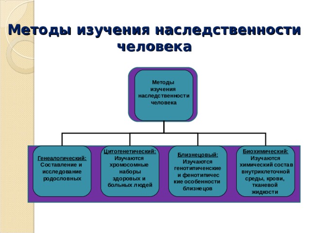 Методы изучения наследственности человека