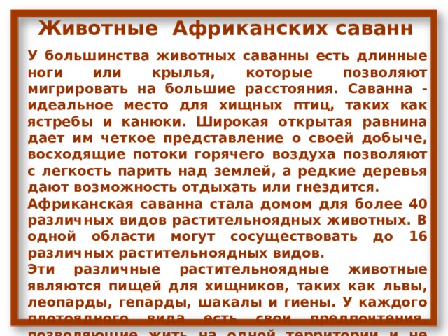 Животные Африканских саванн У большинства животных саванны есть длинные ноги или крылья, которые позволяют мигрировать на большие расстояния. Саванна - идеальное место для хищных птиц, таких как ястребы и канюки. Широкая открытая равнина дает им четкое представление о своей добыче, восходящие потоки горячего воздуха позволяют с легкость парить над землей, а редкие деревья дают возможность отдыхать или гнездится. Африканская саванна стала домом для более 40 различных видов растительноядных животных. В одной области могут сосуществовать до 16 различных растительноядных видов. Эти различные растительноядные животные являются пищей для хищников, таких как львы, леопарды, гепарды, шакалы и гиены. У каждого плотоядного вида есть свои предпочтения, позволяющие жить на одной территории и не конкурировать за еду. Все эти животные зависят друг от друга, занимают определенное место в пищевой цепи. 