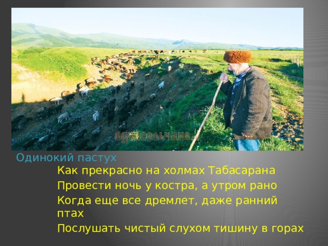 Одинокий пастух Как прекрасно на холмах Табасарана Провести ночь у костра, а утром рано Когда еще все дремлет, даже ранний птах Послушать чистый слухом тишину в горах 