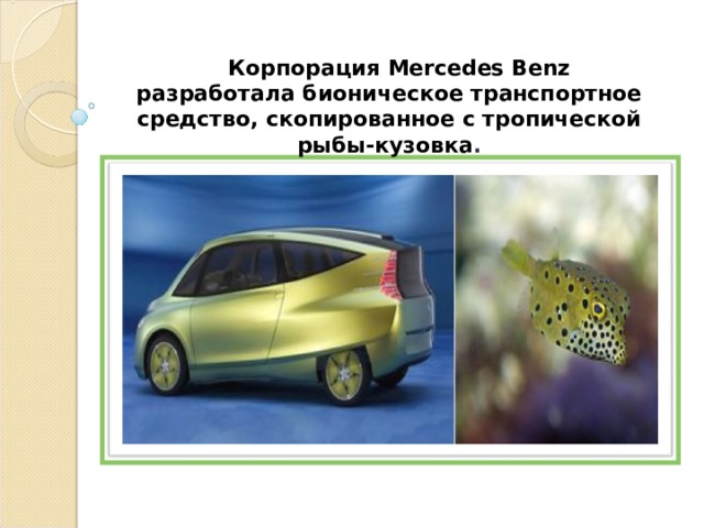  Корпорация Mercedes Benz разработала бионическое транспортное средство, скопированное с тропической рыбы-кузовка . 