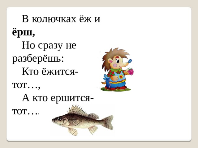 в колючках еж и ерш