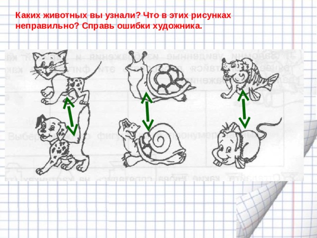 Каких животных вы узнали? Что в этих рисунках неправильно? Справь ошибки художника. 