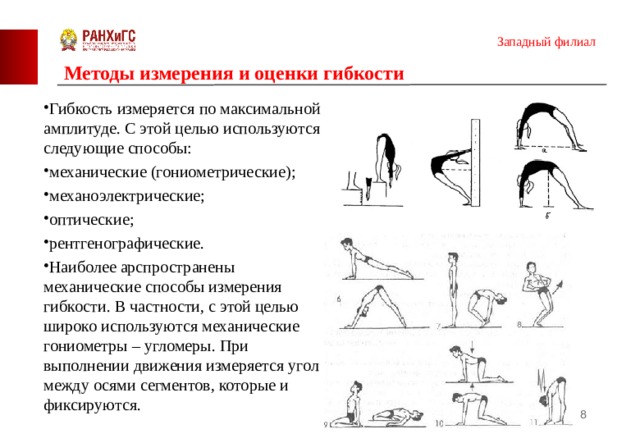 Презентация упражнения на развитие гибкости