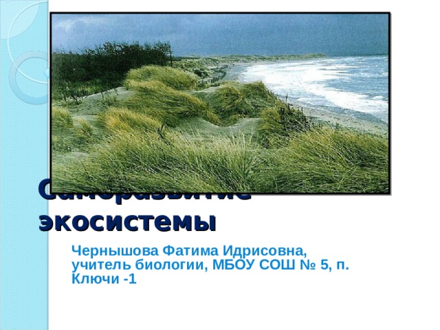 Саморазвитие экосистемы Чернышова Фатима Идрисовна, учитель биологии, МБОУ СОШ № 5, п. Ключи -1 