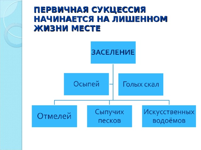 ПЕРВИЧНАЯ СУКЦЕССИЯ НАЧИНАЕТСЯ НА ЛИШЕННОМ ЖИЗНИ МЕСТЕ 