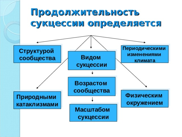 Продолжительность сукцессии определяется Структурой сообщества Периодическими изменениями климата Видом сукцессии Возрастом сообщества Физическим окружением Природными катаклизмами Масштабом сукцессии 