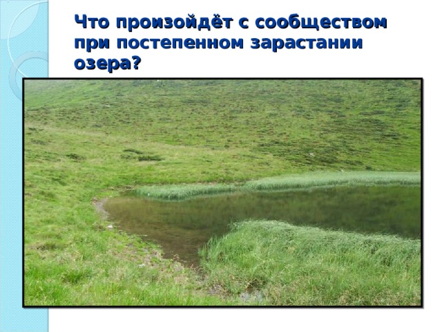Что произойдёт с сообществом при постепенном зарастании озера? 