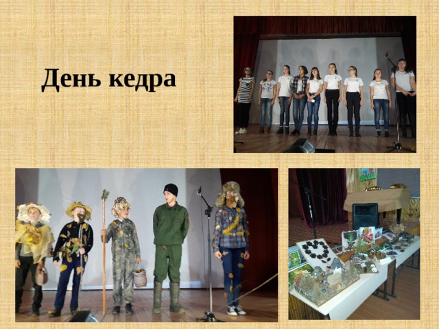 День кедра 