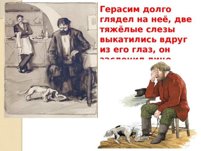 Облик Герасима. Герасим долго глядел на неё. Нравственный облик Герасима. Лицо Герасима.