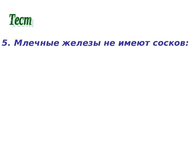 5. Млечные железы не имеют сосков: а) у сумчатых; б) у плацентарных;  в) у яйцекладущих. 