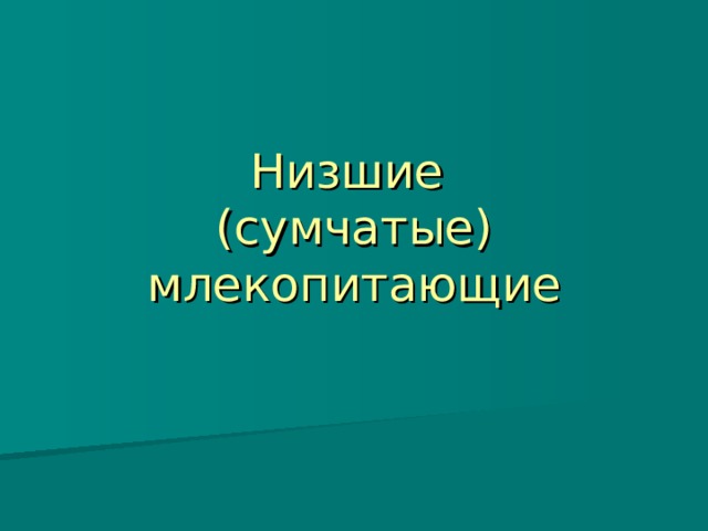 Низшие  (сумчатые)  млекопитающие 