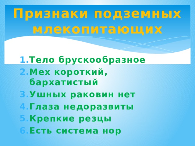 Признаки подземных млекопитающих Тело брускообразное Мех короткий, бархатистый Ушных раковин нет Глаза недоразвиты Крепкие резцы Есть система нор 