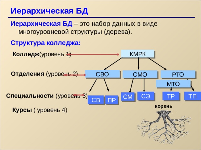 Иерархическая база данных схема