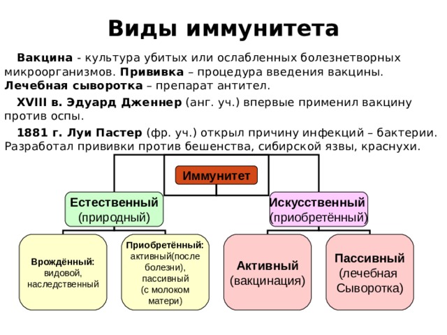 Лечебные сыворотки виды