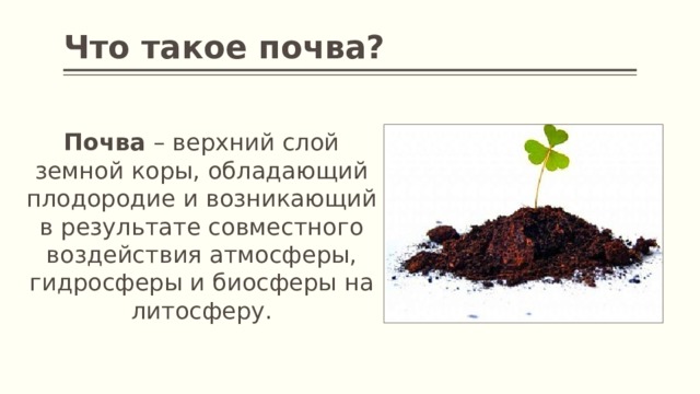 Факты про почву