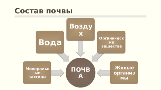 Состав почвы 6 класс география