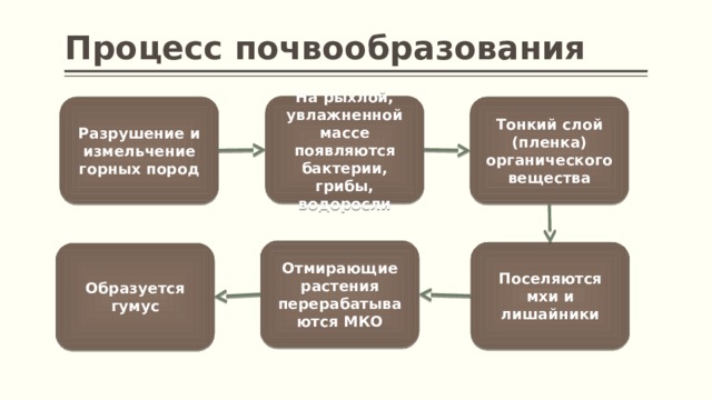 Схема процесса почвообразования