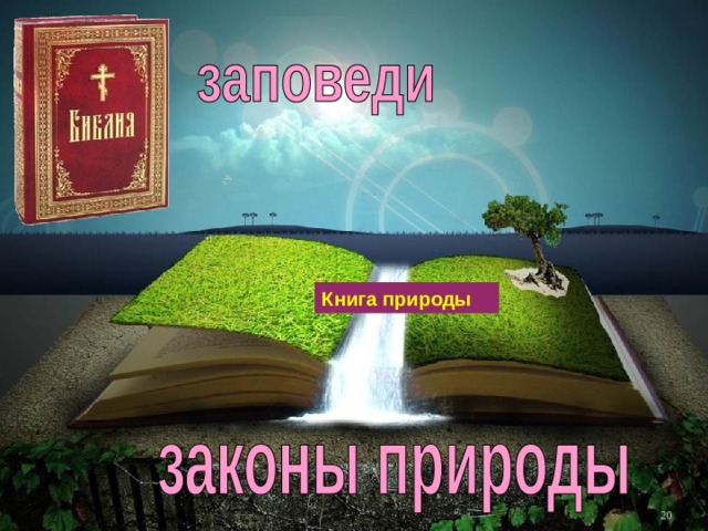 Книга природы Библия - http://www.oranta-book.ru/img/katalog/450/3794.jpg Книга природы - http://st.gdefon.ru/wallpapers_original/wallpapers/304075_otkrytaya_-kniga_-prirody_1920x1080_(www.OboiFon.ru).jpg   