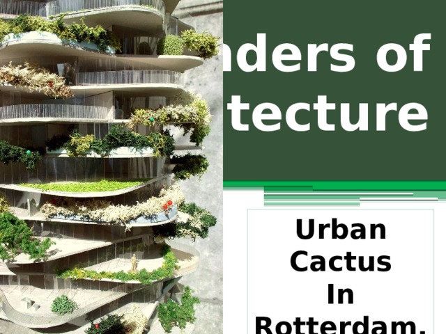 Wonders of  architecture Urban Cactus In Rotterdam, Netherlands 