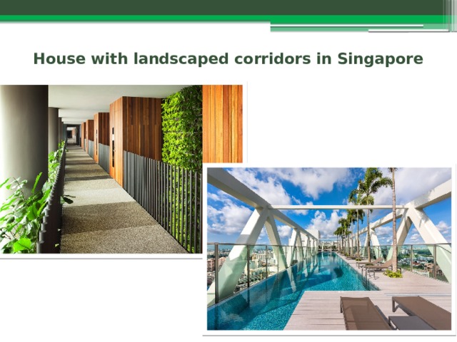 House with landscaped corridors in Singapore 