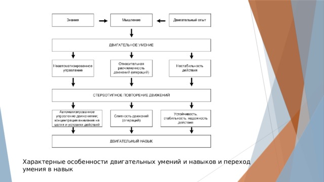 Структура процесса обучения двигательным действиям обусловлена