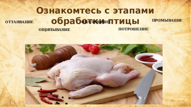 Мясо птицы 8 кл технология казакевич презентация