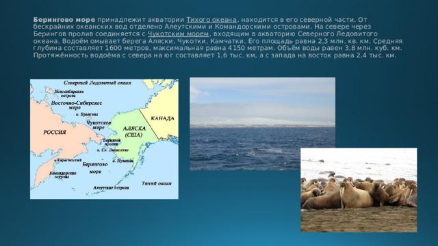Максимальная глубина Берингова моря. Площадь Берингово моря. Акватория Берингова моря. Берингово море на карте России.