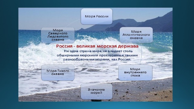 Море проект 2 класс