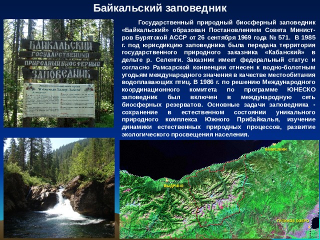 Байкальский заповедник сообщение. Образован Байкальский заповедник 1969. Байкальский заповедник охраняемые объекты. Байкальский заповедник объект охраны. Байкальский природный биосферный заповедник карта.