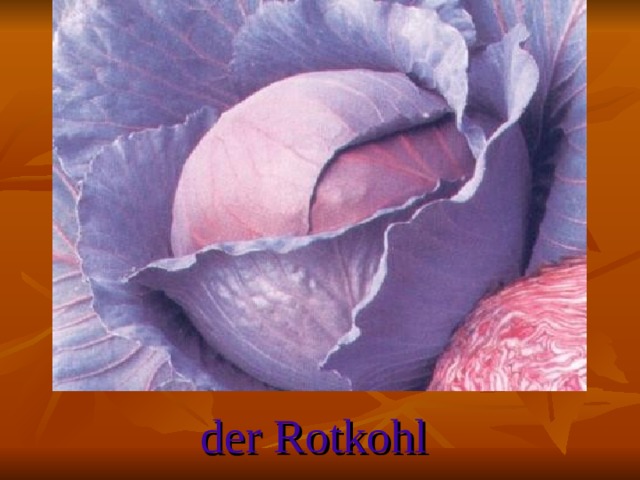 der Rotkohl