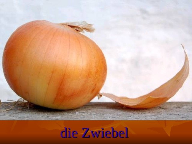 die Zwiebel