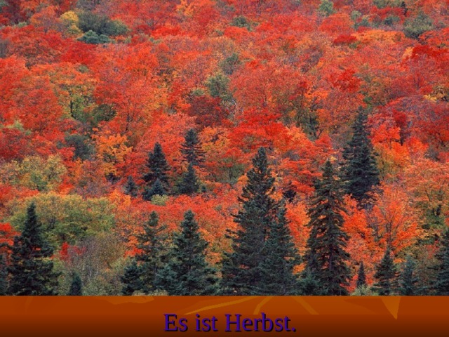 Es ist Herbst.