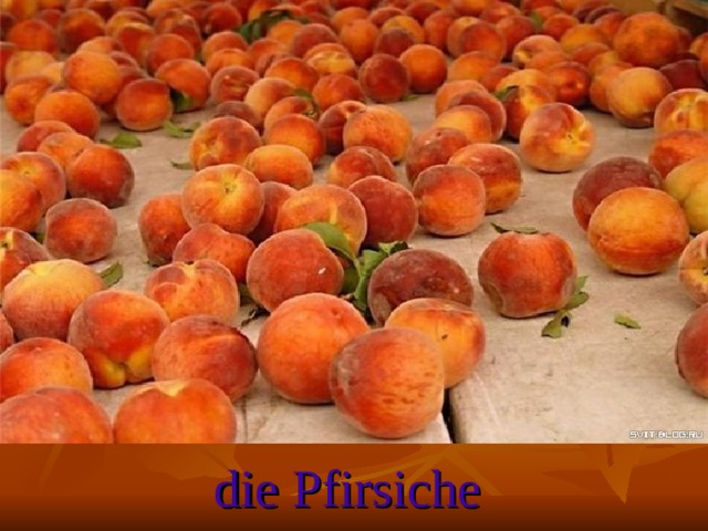 die Pfirsiche
