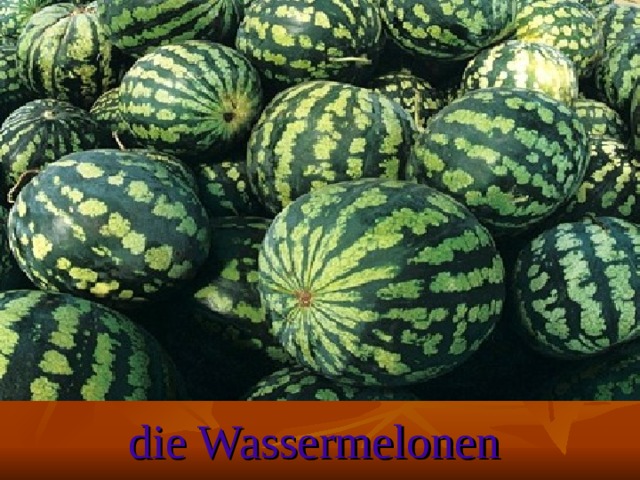 die Wassermelonen
